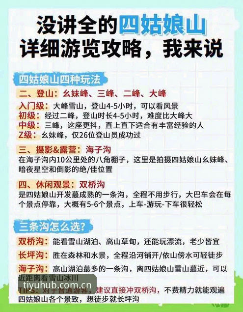 体育登录攻略 196体育平台登录攻略全解析:资深用户教你避开常见坑,快速上手